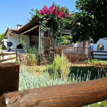 Koel Holiday home Ano Almiri