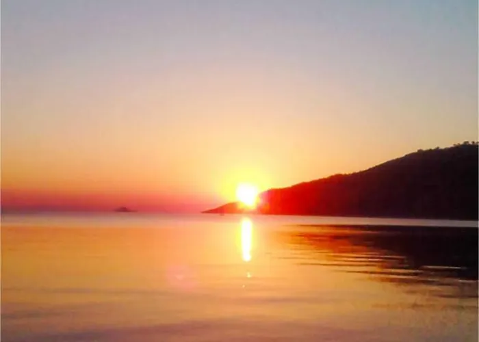 Hébergement de vacances Koel