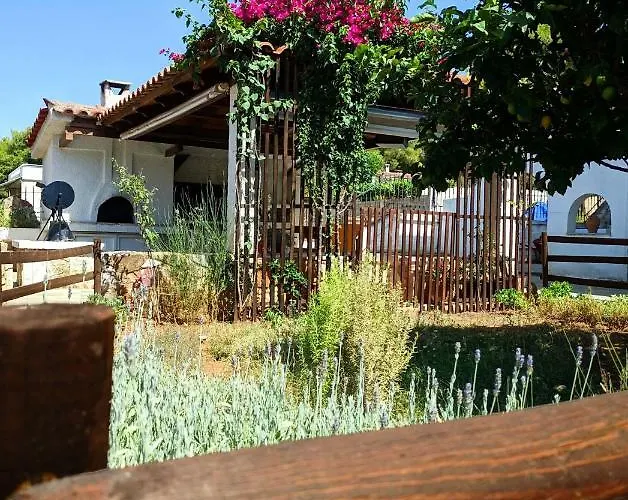 Koel Hébergement de vacances Ano Almiri